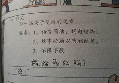 父母的爱情故事作文