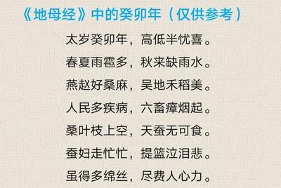 秋天的雨写一段话