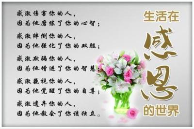 学会感恩的意义