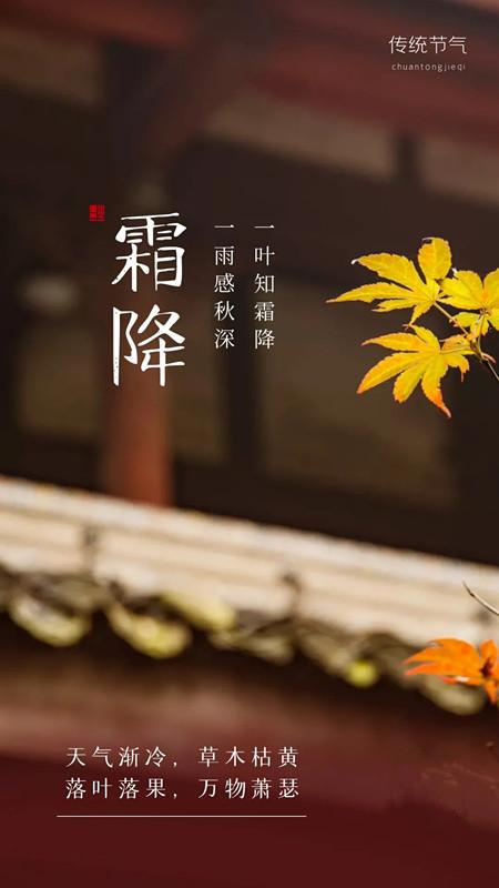 秋天的雨写一段话