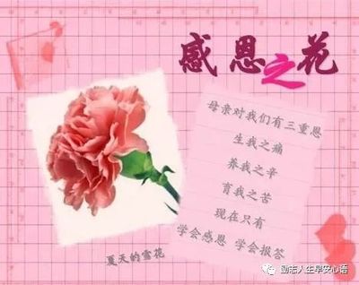 学会感恩的意义