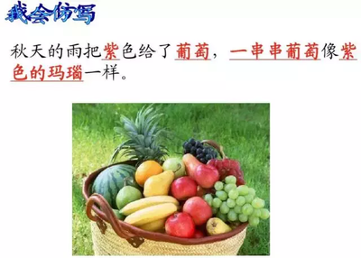 秋天的雨写一段话