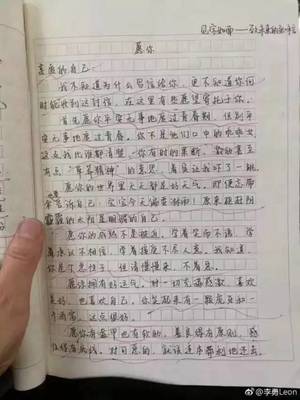 我喜欢 作文600字