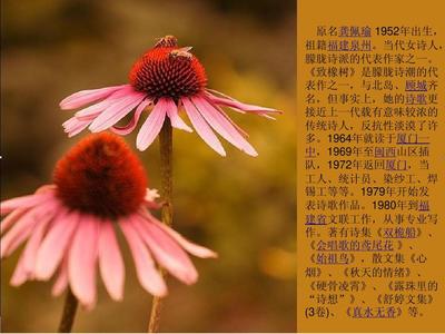 北岛关于爱情的诗