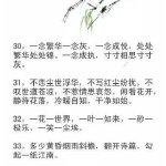 养心语录