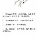 养心语录