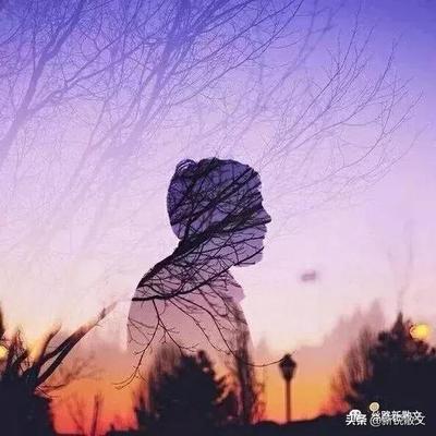 父母老去的诗句