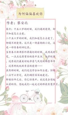 小说一句话简介