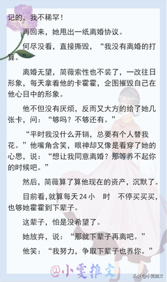 小说一句话简介