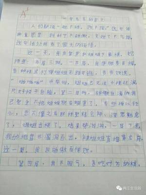 五年级的作文题目有哪些