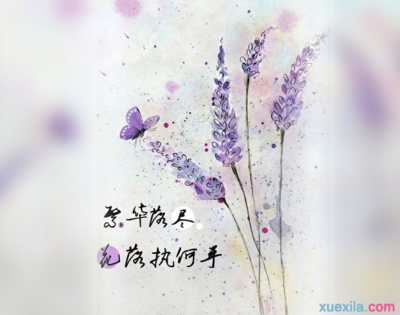 关于青春的经典语录