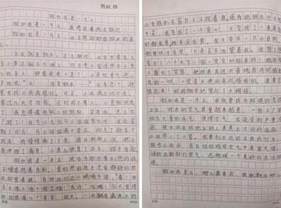 我喜欢什么什么作文