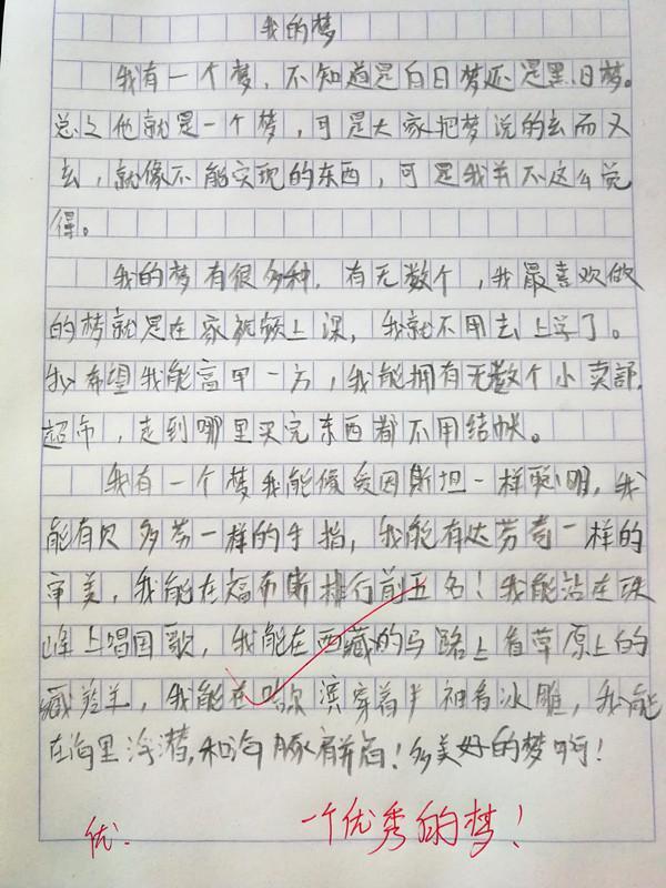 我喜欢什么什么作文