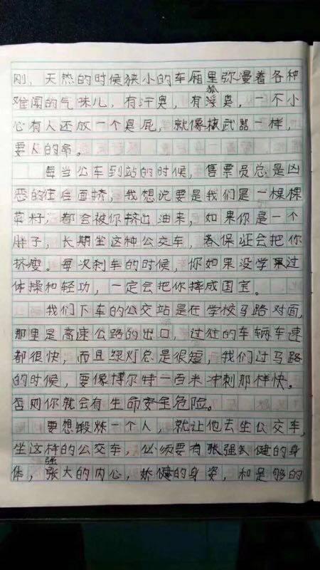 我喜欢什么什么作文