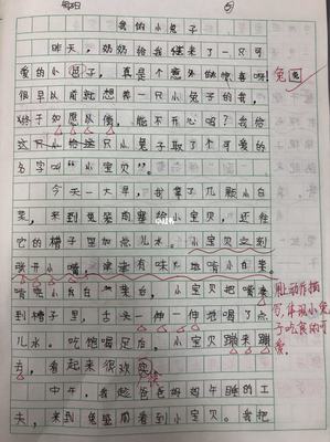 作文评语大全小学通用