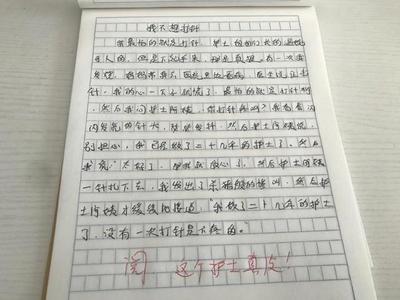 作文评语大全小学通用