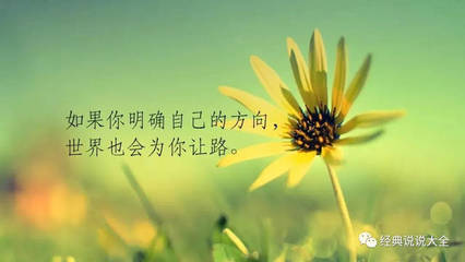 心累语录