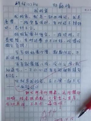 作文评语大全小学通用