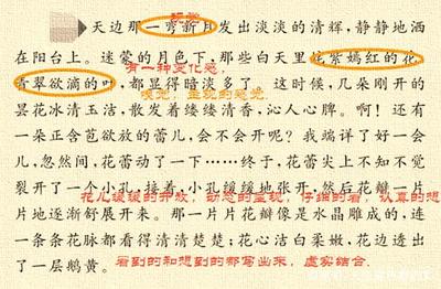 记叙文加批注