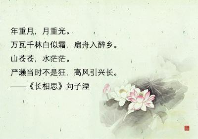 长相思经典语录