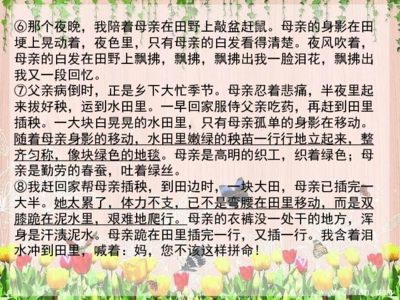 记叙文加批注