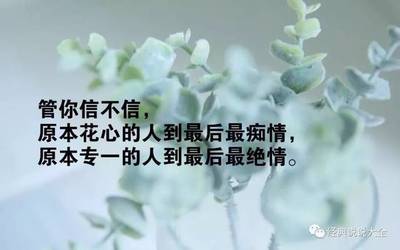 心累语录
