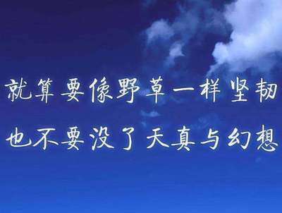 心累语录