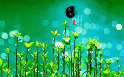 感恩父母小诗