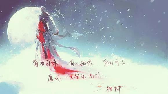 长相思经典语录