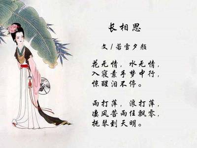 长相思经典语录