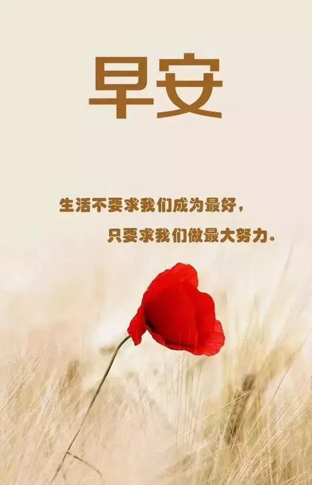 心累语录