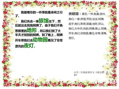 难忘的一件事250字