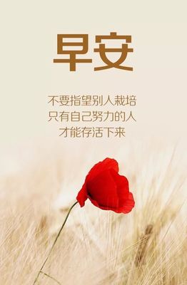 女人正能量语录