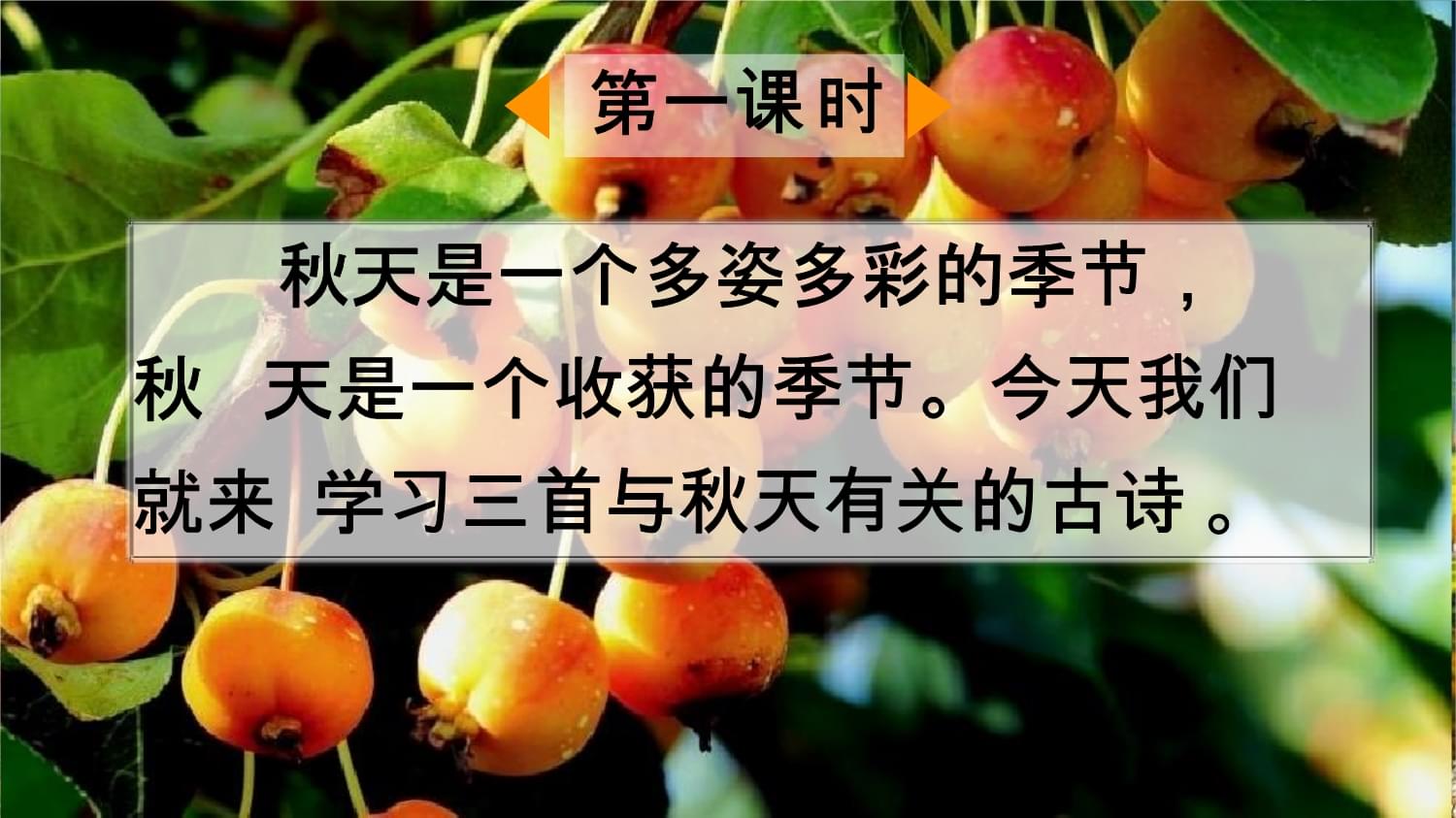 秋天收获的古诗