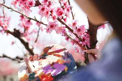 桃花爱情的诗句