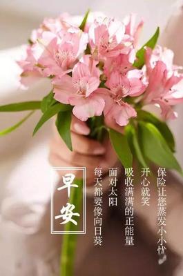 花的唯美语录