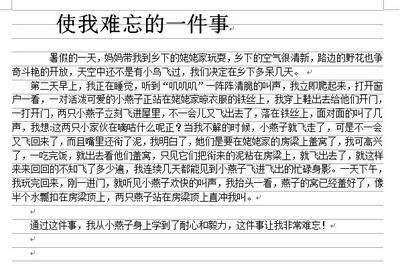 难忘的一件事250字