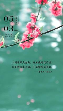 花的唯美语录