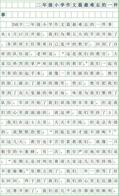 难忘的一件事250字