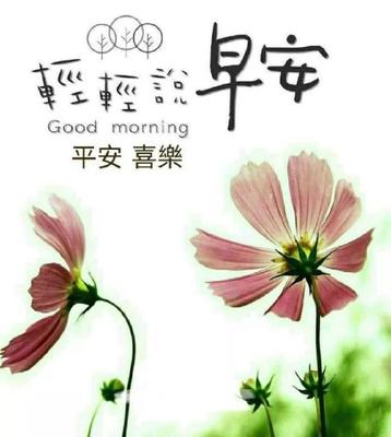 花的唯美语录