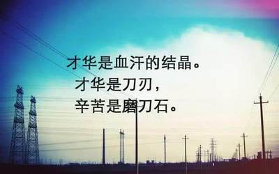 赚钱语录