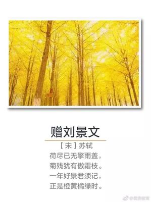 描写秋天的诗词