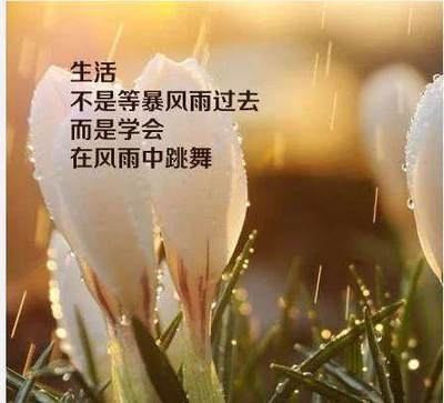 错过经典语录