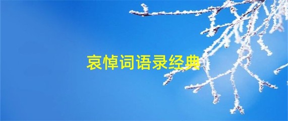 哀悼词语录经典