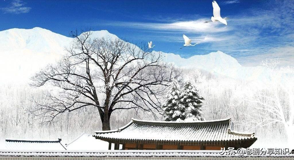 描写冬天的校园