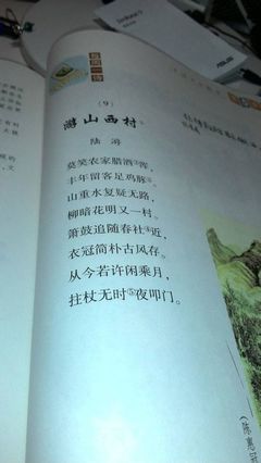 游山西村翻译简短