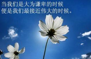 错过经典语录