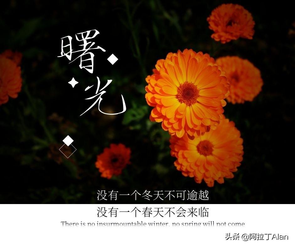 女生高冷霸气简短说说