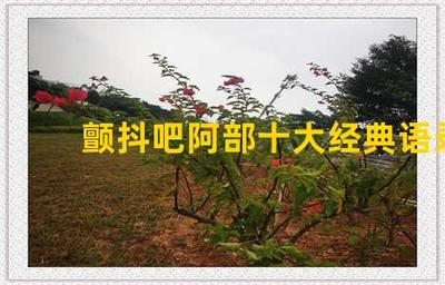 没安全感的经典语录
