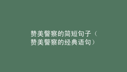 赞美警察的经典语句